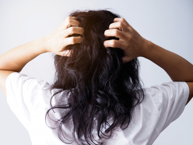 how many inches does human hair grow every year